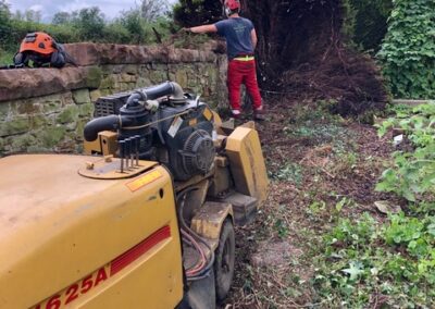 HedgeRemoval 3